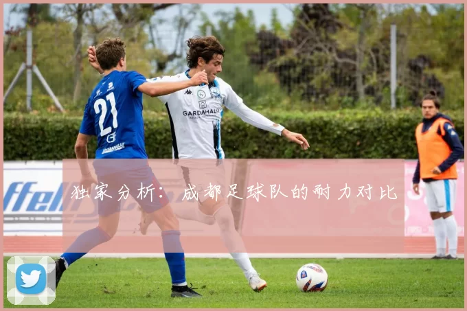 独家分析：成都足球队的耐力对比