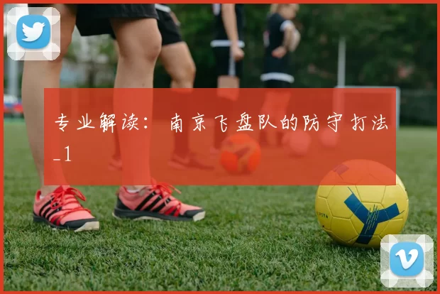 专业解读：南京飞盘队的防守打法_1