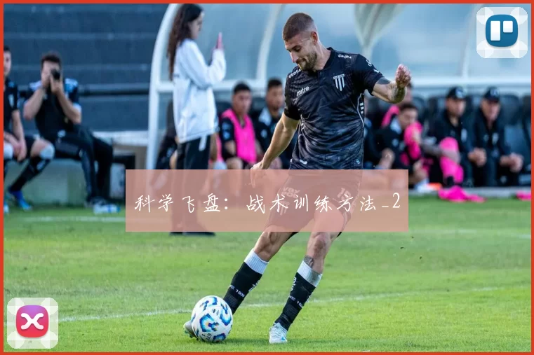 科学飞盘：战术训练方法_2